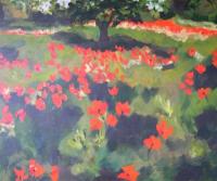 Tuscan Poppies