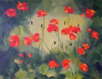 Sunny Poppies