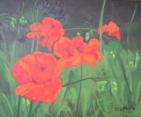 Spracklen Poppies