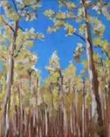 "Golden Aspens"