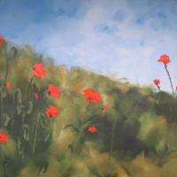 "Lazy Poppies"